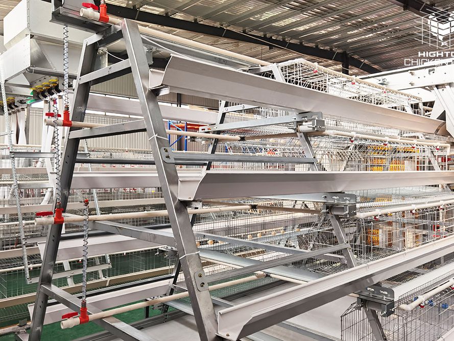 A type layer cage a type layer cage system