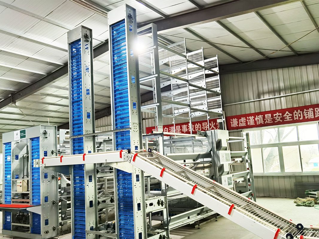 H type battery cage system H type battery cage system