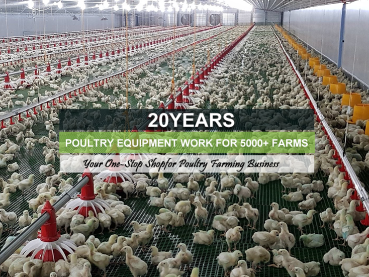 Broiler Floor Raising System banner Broiler Floor Raising System banner