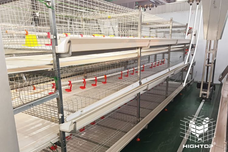 broiler battery cage system