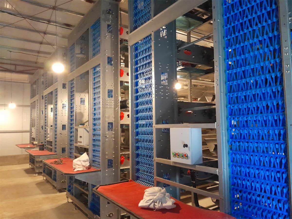 chicken cage for sale in Uruguay chicken cage for sale in Uruguay