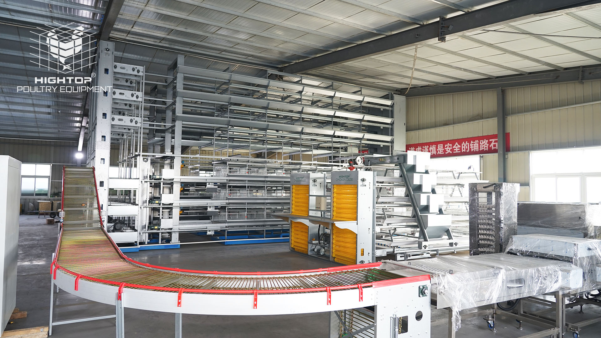 fully automatic poultry equipment